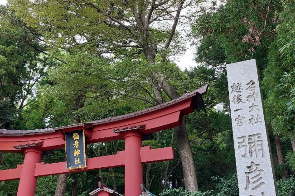 新潟県  彌彦神社